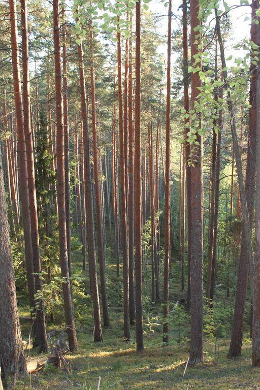 Hotel Kruunupuisto Пункахарью Экстерьер фото